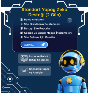 Standart Yapay Zeka Desteği (2 Gün)