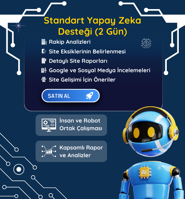Standart Yapay Zeka Desteği (2 Gün)